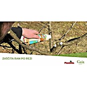 Plantella Popravilna smola Arbosan  (Vse leto, 350 g) | Uničevalci plevela | Sredstva za zaščito rastlin | Gnojila, zemlje in sredstva za zaščito rastlin | Vrt in prosti čas | Izdelki | BAUHAUS