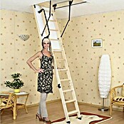 Meisterholz Podstrešne stopnice Thermo Extra  (120 x 70 cm, Toplotna izolacija: 0,85 W/(m²K)) | Podstrešne stopnice | Stopnice | Okna, vrata in stopnice | Izdelki | BAUHAUS