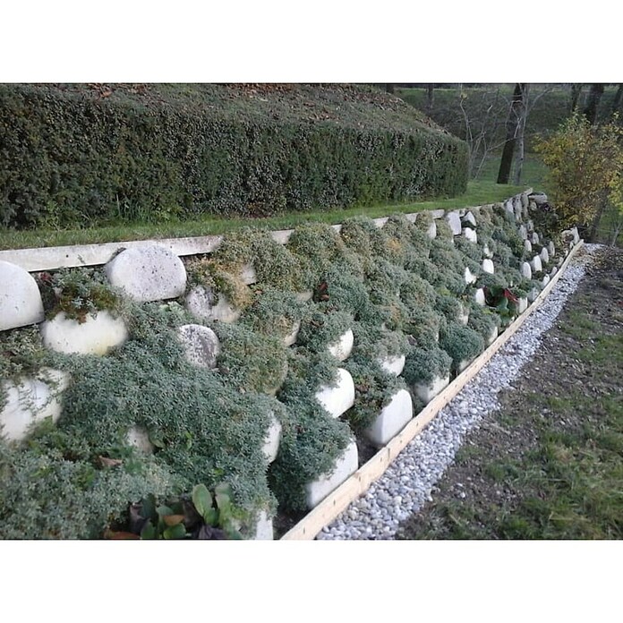 Ograja za polže StopSnails  (6 m) | 7401 - Draht / Zubehör | IAGA - Metallzaun | IAG - Außenbereichsausstattung | IA - Gartenhartware | I - Stadtgarten | BAUHAUS