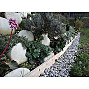 Ograja za polže StopSnails  (6 m) | 7401 - Draht / Zubehör | IAGA - Metallzaun | IAG - Außenbereichsausstattung | IA - Gartenhartware | I - Stadtgarten | BAUHAUS