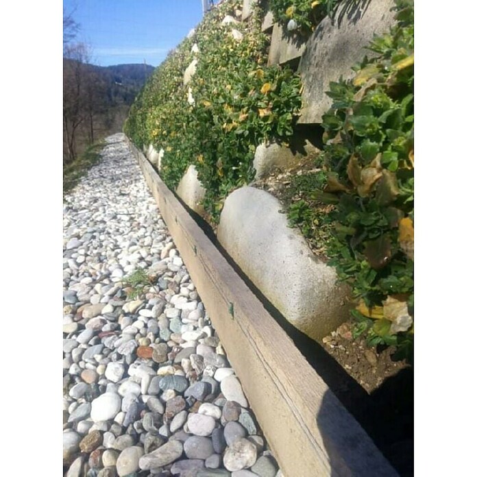 Ograja za polže StopSnails  (6 m) | 7401 - Draht / Zubehör | IAGA - Metallzaun | IAG - Außenbereichsausstattung | IA - Gartenhartware | I - Stadtgarten | BAUHAUS