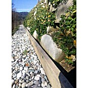 Ograja za polže StopSnails  (6 m) | 7401 - Draht / Zubehör | IAGA - Metallzaun | IAG - Außenbereichsausstattung | IA - Gartenhartware | I - Stadtgarten | BAUHAUS