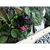 Ograja za polže StopSnails  (6 m) | 7401 - Draht / Zubehör | IAGA - Metallzaun | IAG - Außenbereichsausstattung | IA - Gartenhartware | I - Stadtgarten | BAUHAUS