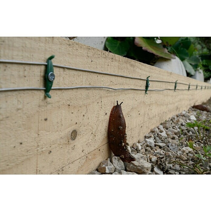 Ograja za polže StopSnails  (6 m) | 7401 - Draht / Zubehör | IAGA - Metallzaun | IAG - Außenbereichsausstattung | IA - Gartenhartware | I - Stadtgarten | BAUHAUS