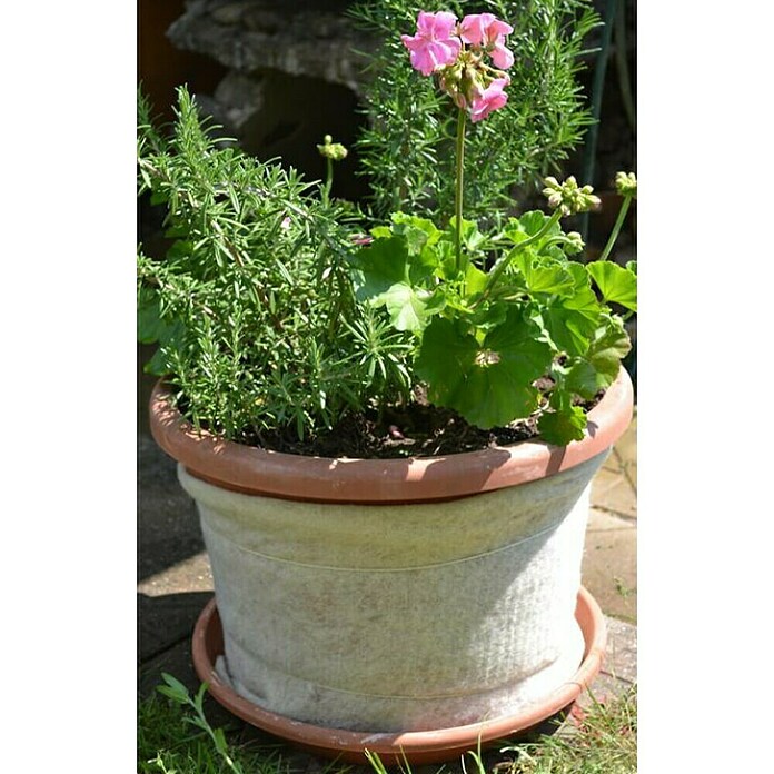 Zaščitni ovoj Soven  (Naravna vlakna, 50 cm x 2 m) | 7481 - Folien / Netze / Winterschutz | IAGG - Gartenartikel | IAG - Außenbereichsausstattung | IA - Gartenhartware | I - Stadtgarten | BAUHAUS