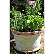 Zaščitni ovoj Soven  (Naravna vlakna, 50 cm x 2 m) | 7481 - Folien / Netze / Winterschutz | IAGG - Gartenartikel | IAG - Außenbereichsausstattung | IA - Gartenhartware | I - Stadtgarten | BAUHAUS
