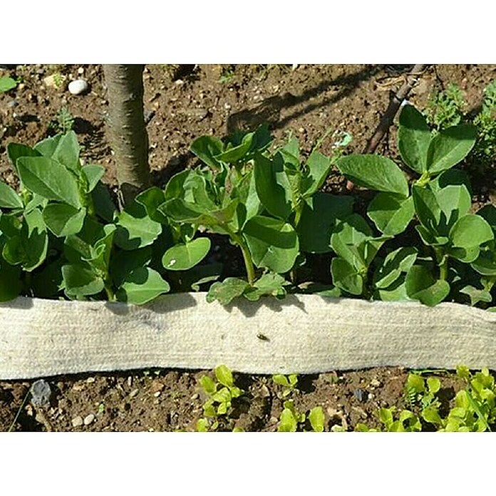 Zaščitni ovoj Soven  (Naravna vlakna, 10 cm x 2 m) | 7481 - Folien / Netze / Winterschutz | IAGG - Gartenartikel | IAG - Außenbereichsausstattung | IA - Gartenhartware | I - Stadtgarten | BAUHAUS