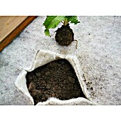 Podloga za visoko gredo Soven  (4 x 1 m, Naravna vlakna) | 7481 - Folien / Netze / Winterschutz | IAGG - Gartenartikel | IAG - Außenbereichsausstattung | IA - Gartenhartware | I - Stadtgarten | BAUHAUS