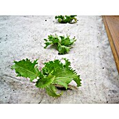 Podloga za visoko gredo Soven  (4 x 1 m, Naravna vlakna) | 7481 - Folien / Netze / Winterschutz | IAGG - Gartenartikel | IAG - Außenbereichsausstattung | IA - Gartenhartware | I - Stadtgarten | BAUHAUS