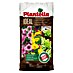 Plantella Zemlja za rože Ideal 