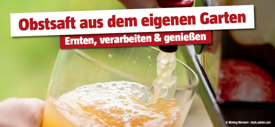 Obstverarbeitung Saft