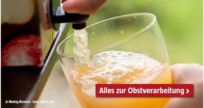 Obstverarbeitung Saft