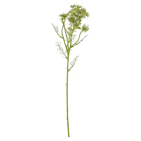 Planta artificial Daucus Carota