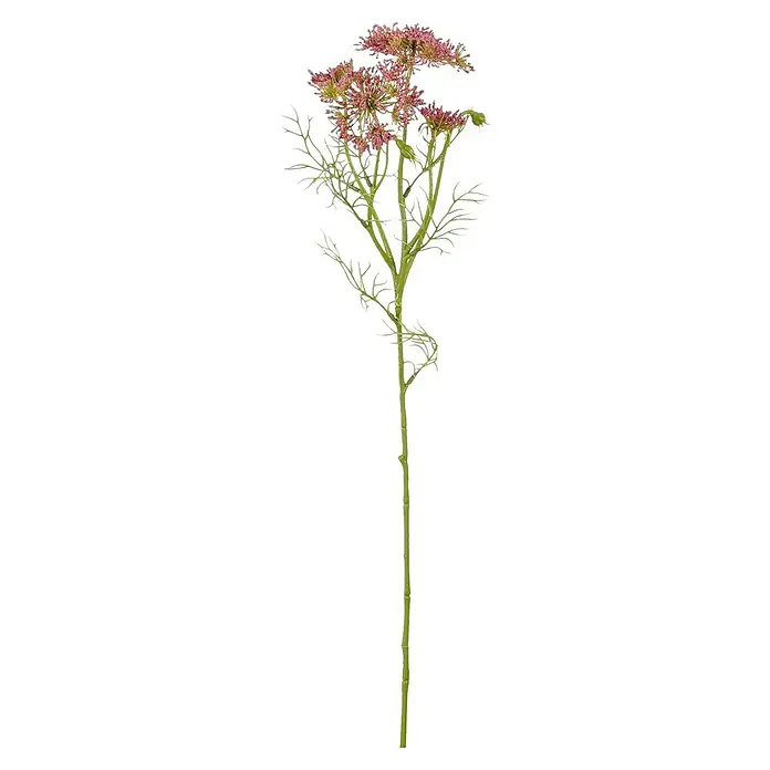 Planta artificial Daucus Carota - Altura: 61 cm, Fucsia, Plástico - Primer plano de una planta artificial de flores rosas con tallos verdes y hojas delicadas, aislada sobre un fondo negro.