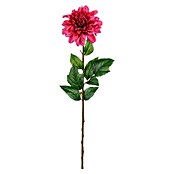 Flor artificial Dalia (Altura: 75 cm, Fucsia) | BAUHAUS