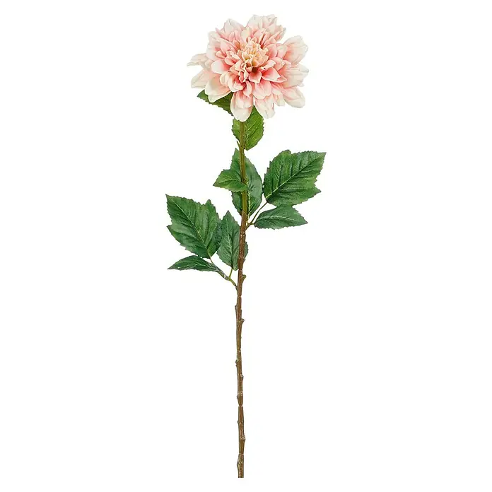 Flor artificial Dalia - Altura: 75 cm, Rosa - Una dalia de melocotón única que muestra sus delicados pétalos y los intrincados detalles, un foco hermoso.