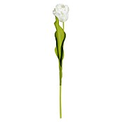 Planta artificial Tulipán (Altura: 50 cm, Blanco, Plástico) | BAUHAUS