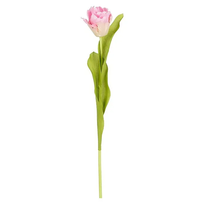 Planta artificial Tulipán - Altura: 50 cm, Rosa, Plástico - Primer plano de un solo tulipán rosa relleno con hojas verdes, un acento decorativo floral adecuado para cualquier espacio.