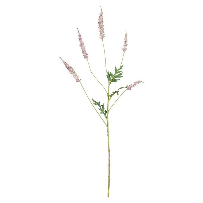 Umetna rastlina Astilba  (Višina: 81 cm, Roza, Plastika) | Svilene rože | Cvetličarstvo | Rastline | Vrt in prosti čas | Izdelki | BAUHAUS