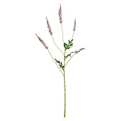Umetna rastlina Astilba  (Višina: 81 cm, Roza, Plastika) | Svilene rože | Cvetličarstvo | Rastline | Vrt in prosti čas | Izdelki | BAUHAUS