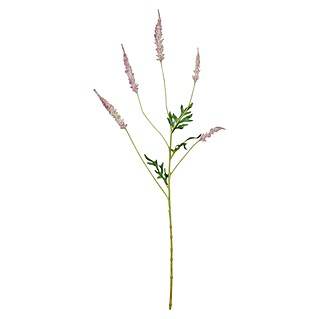 Umetna rastlina Astilba (Višina: 81 cm, Roza, Plastika)