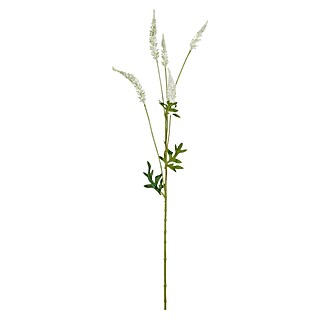 Umetna rastlina Astilba (Višina: 81 cm, Kremna, Plastika)