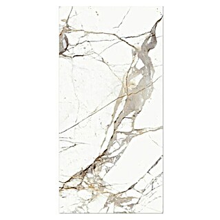 Pločica od prirodnog kamena Empero Classico bianco (60 x 120 cm, Bijela, siva, bež, Sjaj)