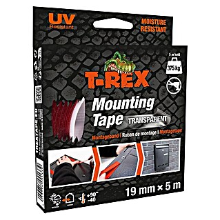 T-Rex Montageklebeband Mounting Tape (Farblos transparent, L x B: 5 m x 19 mm)