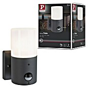 Paulmann Vanjska zidna svjetiljka Tubs  (15 W, Senzor pokreta, E27, IP44) | BAUHAUS