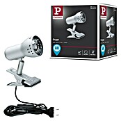 Paulmann Foco con fijación (1 luz, 40 W, Plateado)