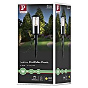 Paulmann Plug & Shine LED-Gartenstrahler Minipoller (Ø x H: 8 x 22 cm, 2 W, Anthrazit, IP44) | BAUHAUS