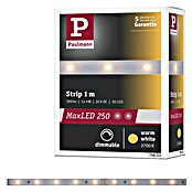 Paulmann MaxLED 250 Led-strip (Lengte: 1 m, Lichtkleur: Warm wit, 4 W, 300 lm) | BAUHAUS
