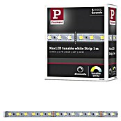 Paulmann MaxLED LED traka SmartHome Tunable White  (Srebrna, D x V: 1 m x 3 mm) | BAUHAUS
