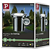Paulmann Plug & Shine LED-Gartenspot (6 W, Warmweiß, IP67, Ø x H: 14 x 15 cm, Abstrahlwinkel: 20 °)