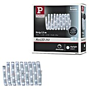 Paulmann MaxLED 250 LED traka  (Duljina: 2,5 m, Boja svjetla: Bijele boje dnevnog svjetla, 10 W, 750 lm, IP44) | BAUHAUS