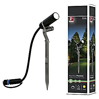 Paulmann Plug & Shine LED-Gartenspot Plantini (2 W, Erdspieß, Höhe: 22,3 cm, 24 V)