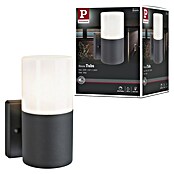 Paulmann Aplique exterior Tubs (15 W, Gris, E27, IP44, Sin detector de movimiento) | BAUHAUS