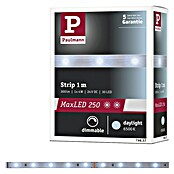 Paulmann MaxLED 250 Tira LED (Largo: 1 m, Color de luz: Blanco diurno, 4 W, 300 lm, IP20) | BAUHAUS