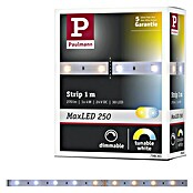 Paulmann MaxLED 250 Tira LED (Largo: 1 m, Blanco neutro, 4 W, 270 lm, IP20) | BAUHAUS