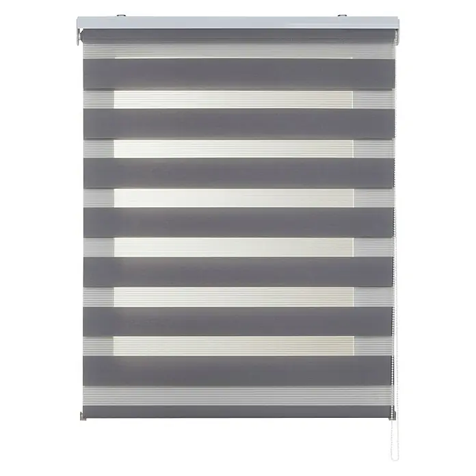 Estor noche y día Duolux - An x Al: 100 x 250 cm, Plateado - Estores enrollables dobles grises con franjas opacas y translúcidas alternadas, que combinan diseño elegante y control de luz flexible.