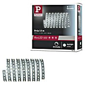 Paulmann MaxLED 500 LED traka  (Duljina: 2,5 m, Boja svjetla: Bijele boje dnevnog svjetla) | BAUHAUS