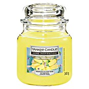 Yankee Candle Home Inspirations Duftkerze (Im Glas, Lemon-Lime Popsicle, Medium) | BAUHAUS