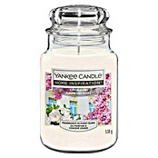 Yankee Candle Home Inspirations Duftkerze (Im Glas, City Blooms, Large) | BAUHAUS