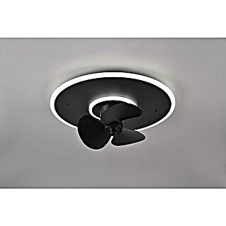 Trio Leuchten Stropni ventilator Nybro (Črna, 50 cm, Nevtralno bela)