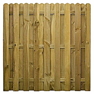 Sichtschutzelement Starnberg (Maße B x H: 180 x 180 cm, Gerade, Grün)