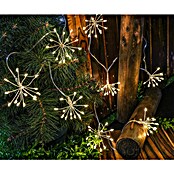 BAUHAUS Solarna svetlobna veriga Fireworks  (Dolžina: 3,4 m, LED) | 3121 - Solarleuchten dekorativ | CAJC - Outdoorleuchten Solar | CAJ - Outdoorleuchten | CA - Beleuchtung | C - Elektro | BAUHAUS