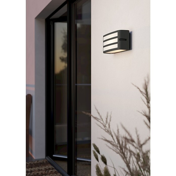 Eglo Aplique exterior Camarda (40 W, An x Al: 22 x 11 cm, Antracita, IP54) | BAUHAUS