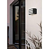 Eglo Aplique exterior Camarda (40 W, An x Al: 22 x 11 cm, Antracita, IP54) | BAUHAUS