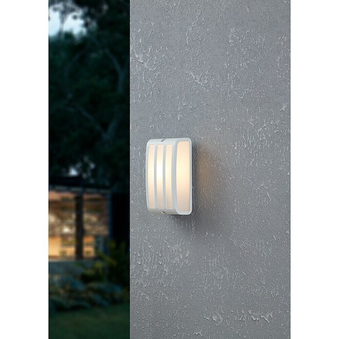 Eglo Aplique exterior Camarda (40 W, An x Al: 22 x 11 cm, Blanco, IP54) | BAUHAUS