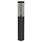 Eglo Baliza exterior Salle (15 W, Color del marco: Negro, Sin bombillas) | BAUHAUS